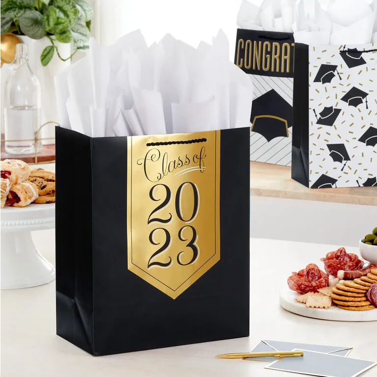 Hallmark 13" Assorted Grad Designs 3-Pack Large Gift Bags With Tissue Paper 2 Hallmark 13" Assorted Grad Designs 3-Pack Large Gift Bags With Tissue Paper - Image 2