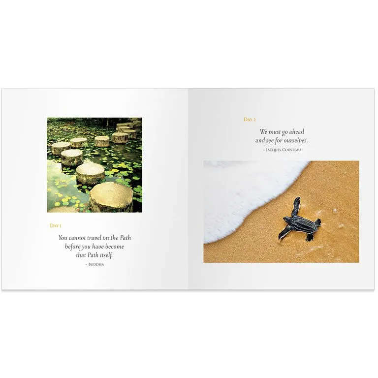 Hallmark Daily Calm Gift Book 2 Hallmark Daily Calm Gift Book - Image 2