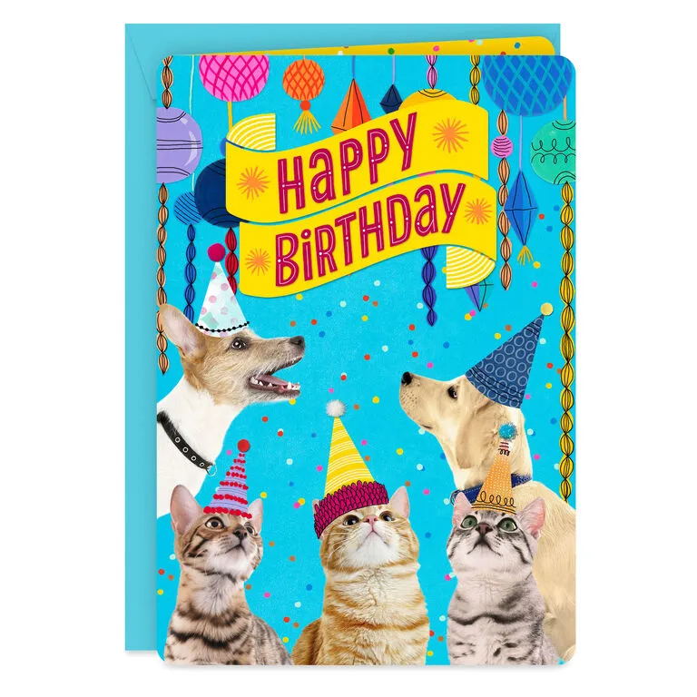 Hallmark 16" Party Cats And Dogs Jumbo Birthday Card From All 1 Hallmark 16" Party Cats And Dogs Jumbo Birthday Card From All