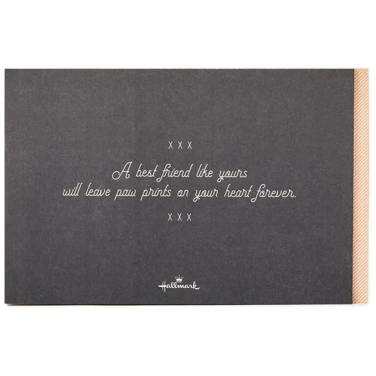 Hallmark Paw Prints On Your Heart: Saying Good-bye To Your Best Friend 3 Hallmark Paw Prints On Your Heart: Saying Good-bye To Your Best Friend - Image 3