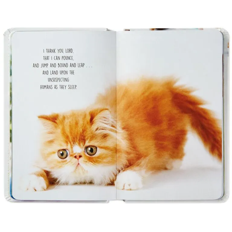 Hallmark Pet Prayers: Funny Pleas And Praise From Our Animal Friends Book 3 Hallmark Pet Prayers: Funny Pleas And Praise From Our Animal Friends Book - Image 3
