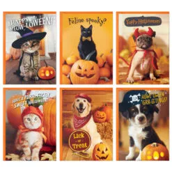 Hallmark Pet Puns Boxed Halloween Cards Assortment, Pack Of 48 7 Hallmark Pet Puns Boxed Halloween Cards Assortment, Pack Of 48 -Hot Sale Hallmark Store Pet Puns Boxed Halloween Cards Assortment 5ELT1013 02