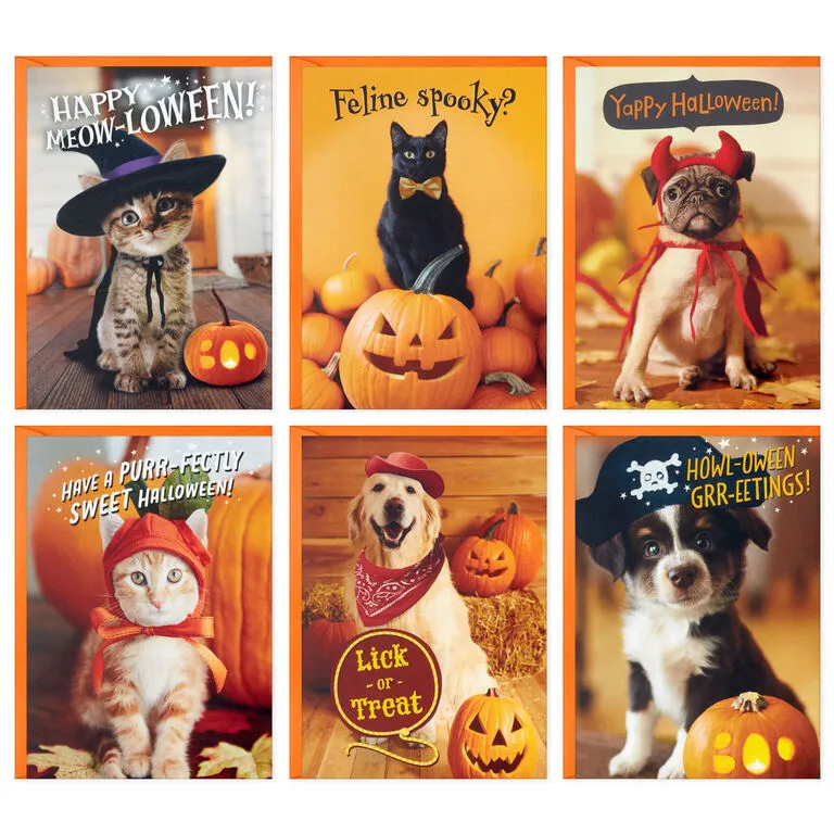 Hallmark Pet Puns Boxed Halloween Cards Assortment, Pack Of 48 2 Hallmark Pet Puns Boxed Halloween Cards Assortment, Pack Of 48 - Image 2