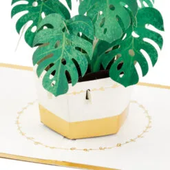 Hallmark Plant In Pot 3D Pop-Up Thinking Of You Card 11 Hallmark Plant In Pot 3D Pop-Up Thinking Of You Card -Hot Sale Hallmark Store Plant in Pot 3D PopUp Thinking of You Card 1299LAD2900 03