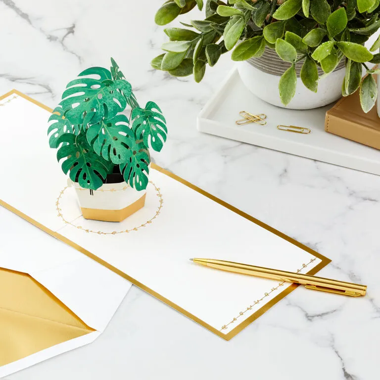 Hallmark Plant In Pot 3D Pop-Up Thinking Of You Card 7 Hallmark Plant In Pot 3D Pop-Up Thinking Of You Card - Image 7