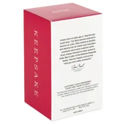 Hallmark Season's Gardenings Ornament 10 Hallmark Season's Gardenings Ornament -Hot Sale Hallmark Store TreeShaped Gardening Planter Keepsake Ornament 1899QGO2947 05