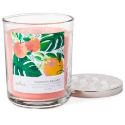 Hallmark Tropical Escape 3-Wick Jar Candle, 16 Oz. 5 Hallmark Tropical Escape 3-Wick Jar Candle, 16 Oz. -Hot Sale Hallmark Store Tropical Escape 3Wick Jar Candle 1BGC1051 03
