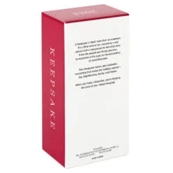 Hallmark WWE The Rock Ornament -Hot Sale Hallmark Store WWE Dwayne The Rock Johnson Keepsake Ornament 1999QXI7199 05