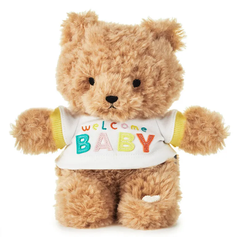 Hallmark Welcome Baby Recordable Teddy Bear Stuffed Animal, 8.75" 1 Hallmark Welcome Baby Recordable Teddy Bear Stuffed Animal, 8.75"