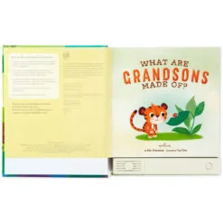 Hallmark What Are Grandsons Made Of? Recordable Storybook 7 Hallmark What Are Grandsons Made Of? Recordable Storybook -Hot Sale Hallmark Store What Are Grandsons Made Of Recordable Storybook 1KOB1230 03